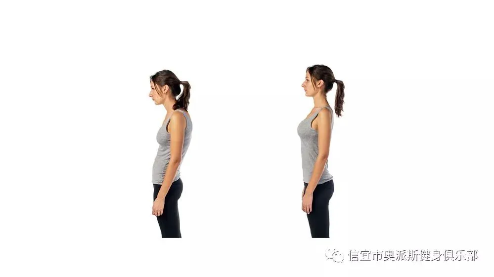 哪里可以找到关于减轻篮球训练压力的方法?_1
